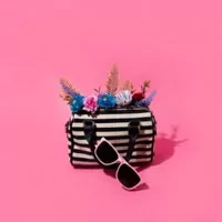 Women Clothing & Fashion