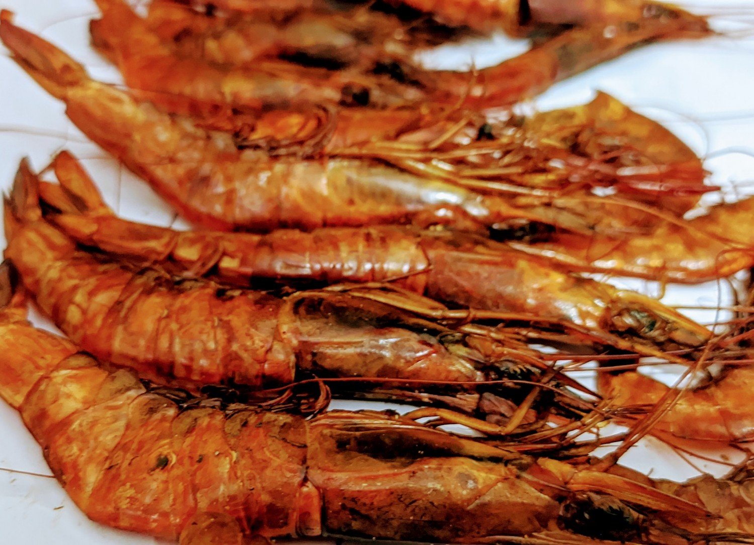 আগুনে শুকানো চিংড়ি