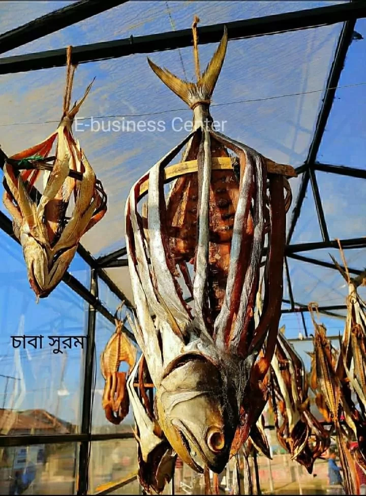 চাবা সুরমা