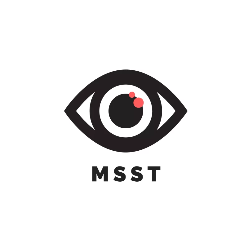 Metro Security & Surveillance Technologies