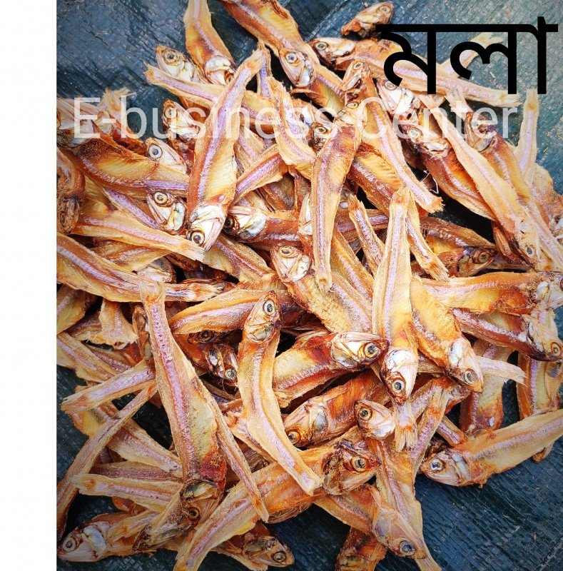 সাদা মলা