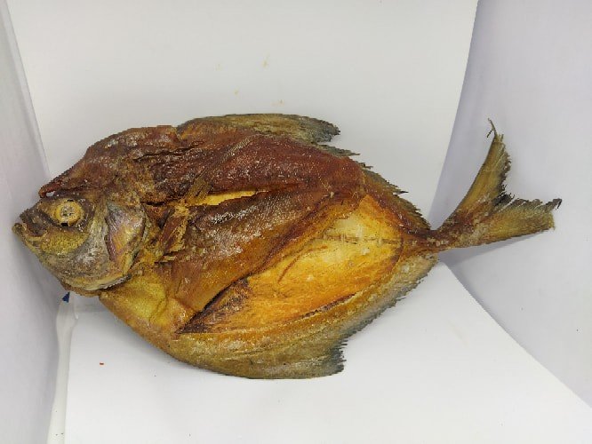 কালো রূপচাঁদা